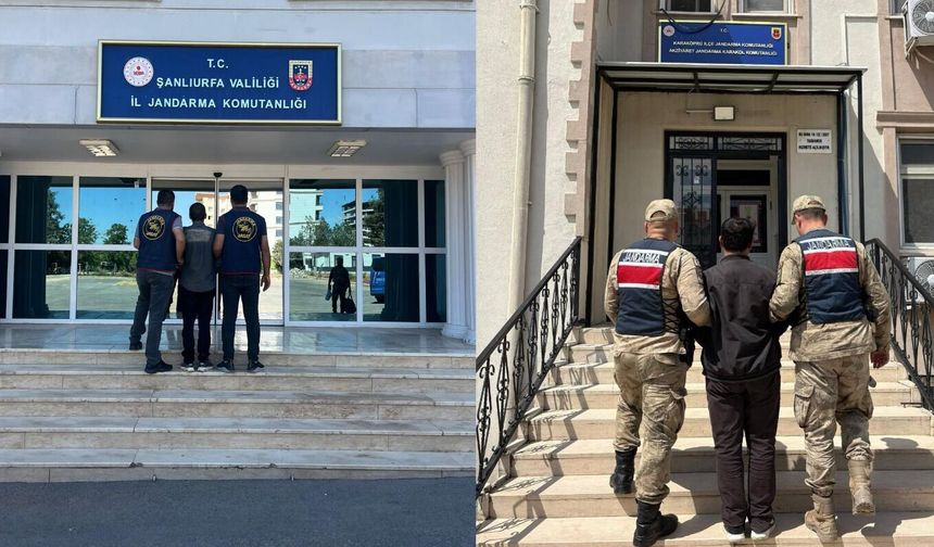 Şanlıurfa’da Aranan 2 Hükümlü Jandarma Operasyonuyla Yakalandı