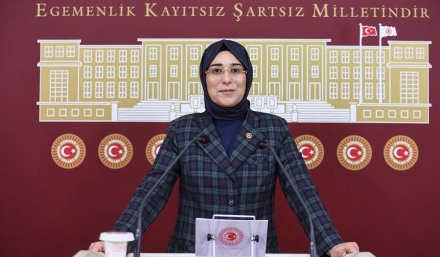 Şanlıurfa’ya Kurban Bayramı Mesajında Birlik Ve Kardeşlik Vurgusu