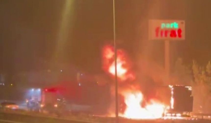 Şanlıurfa-Gaziantep otoyolunda yangın paniği: Korkulan olmadı!