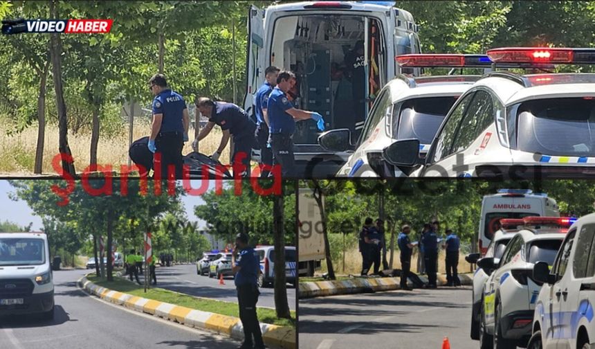 Şanlıurfa’da kaldırıma çarpan sürücü hayatını kaybetti