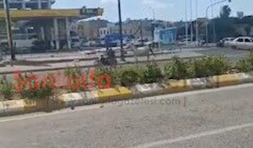 Şanlıurfa’da Pes Dedirten Görüntü! Atı Motosikletin Arkasına Bağlayıp Yolda Çekti