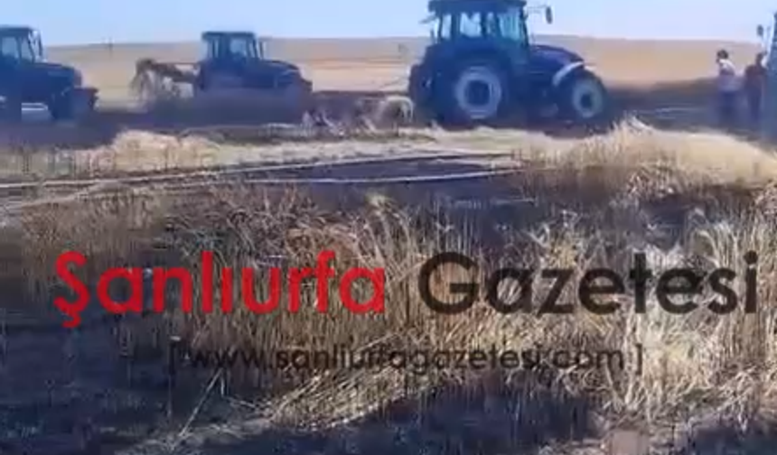 Ayların emeği dakikalar içerisinde küllerle bir oldu; Harran'da acı bilanço!