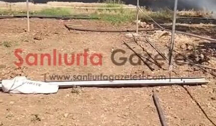 Şanlıurfa’da Buğday Tarlasında Yangın: 50 Dönüm Alan Zarar Gördü