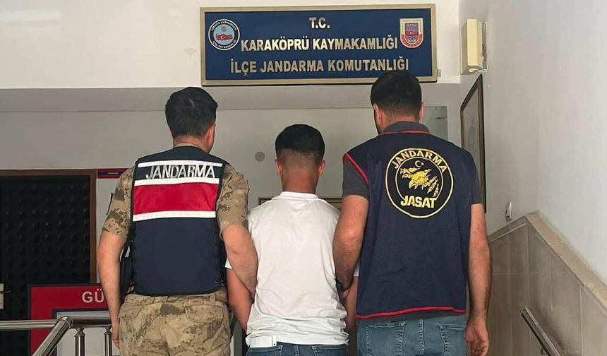 Aranan şahsa Şanlıurfa’da jandarma ambargosu