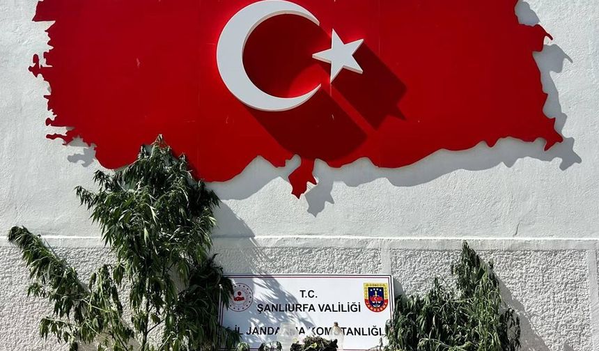 Hilvan’da uyuşturucu üreticisine ceza!