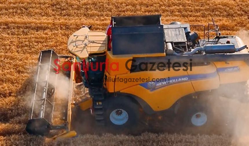 Çiftçinin sarı altını için Şanlıurfa'da hasat zamanı; Güneydoğu'da biçerdöver mesaisi