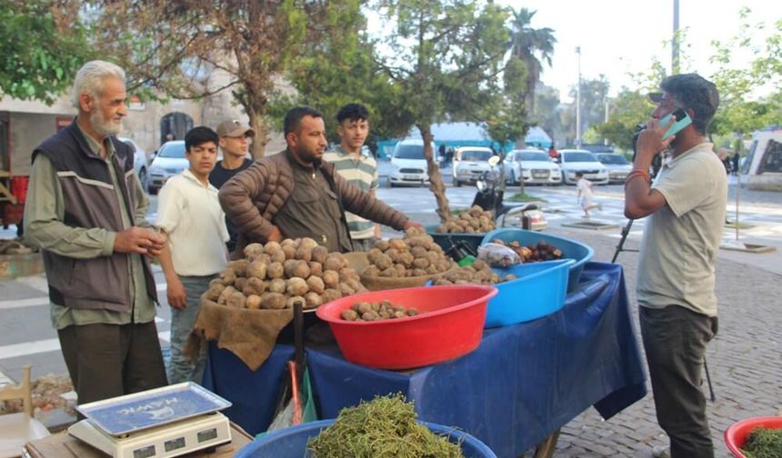 Şanlıurfa'nın o lezzeti damak çatlatıyor; Sadece 2 ay sofralarla buluşuyor!