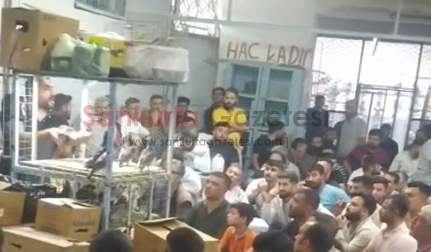 Şanlıurfa’da Kuş Meraklıları İhalede Buluştu