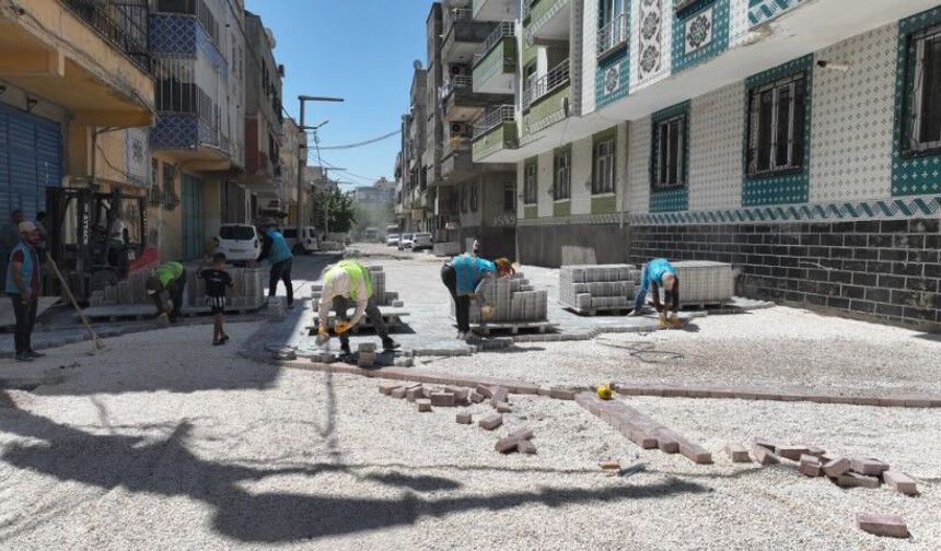 Şanlıurfa’da Eyyübiye Belediyesi’nden Dev Yol Seferberliği!