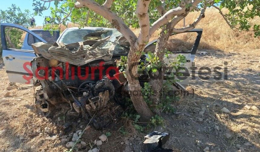 Şanlıurfa'da Otomobil Fıstık Tarlasına Uçtu: Kadın Sürücü Ağır Yaralandı