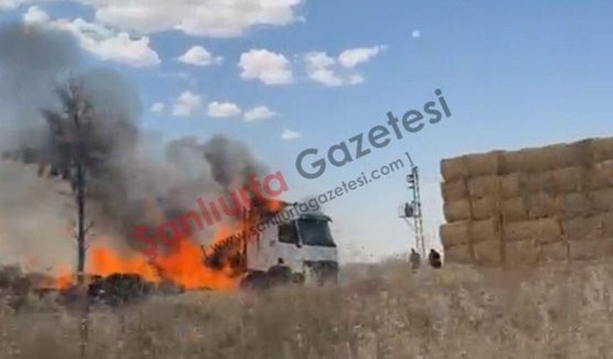 Şanlıurfa’da saman yüklü TIR alev alev yandı
