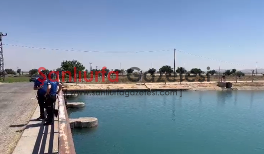 Şanlıurfa'da Sulama Kanalında Kayıp Şahıs İhbarı: Ekipler Seferber Oldu