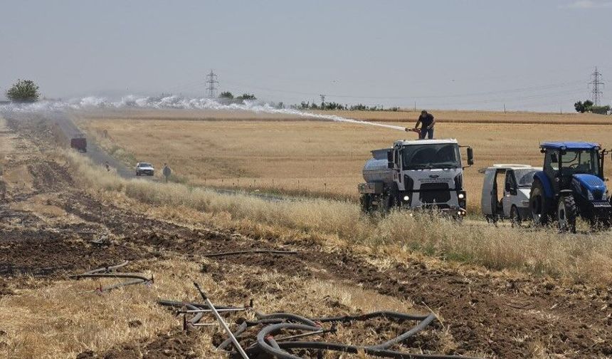 Şanlıurfa'da Tarım Arazisinde Yangın Paniği