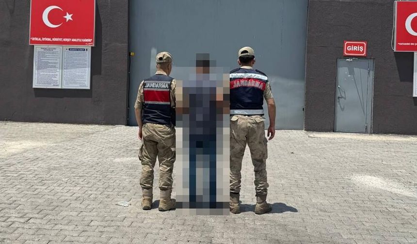Firari Ceylanpınar jandarmadan kaçamadı!