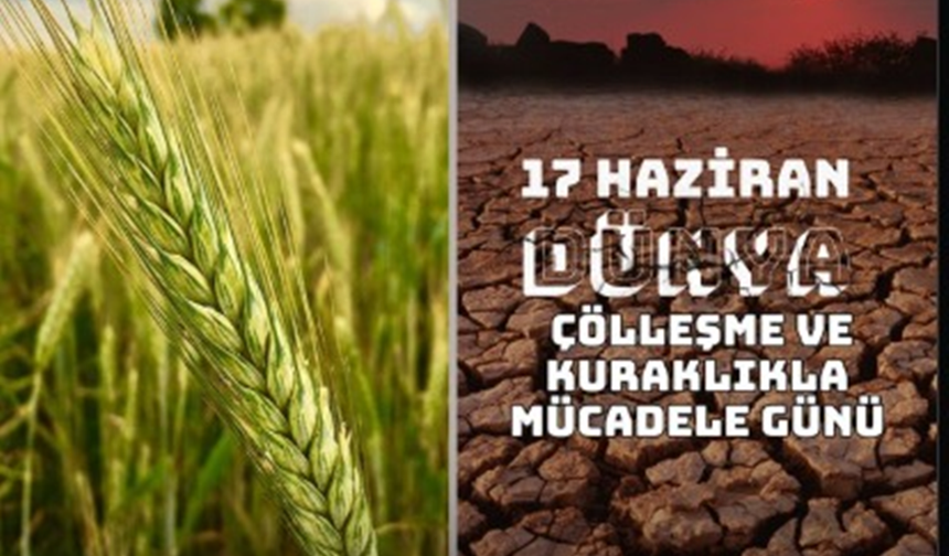 Şanlıurfalı vekil Eyyüpoğlu’ndan 17 Haziran paylaşımı