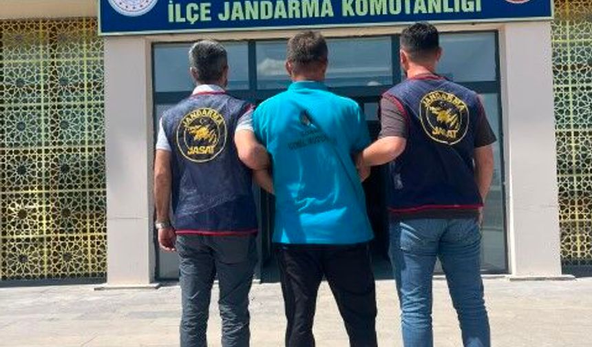 Şanlıurfa’da 27 Yıl Hapis Cezası Bulunan Firari Yakalandı