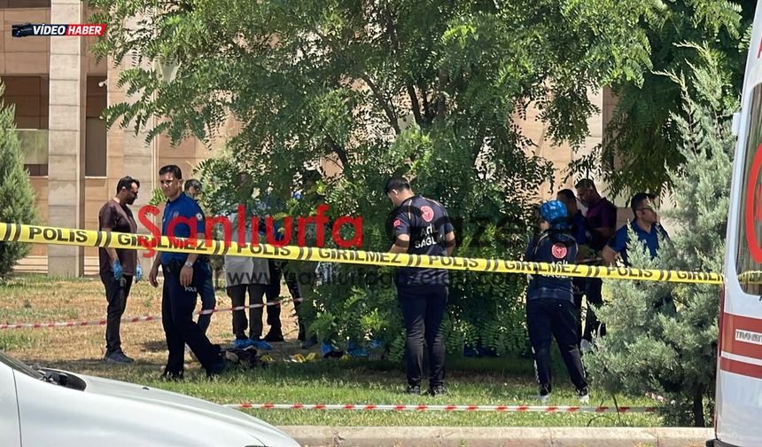 Şanlıurfa Arkeoloji Müzesi'nde hareketli dakikalar: 27 Yaşındaki  genç intihar etti!