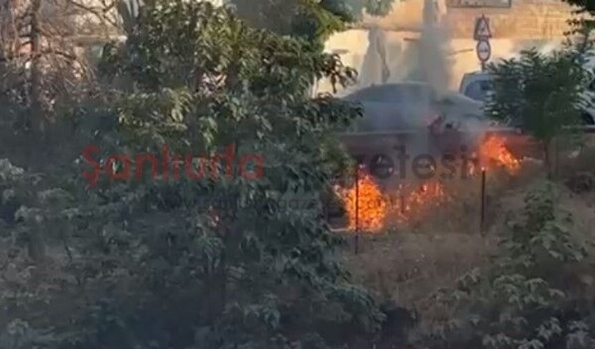 Şanlıurfa'da Otluk Alanda Yangın Çıktı!