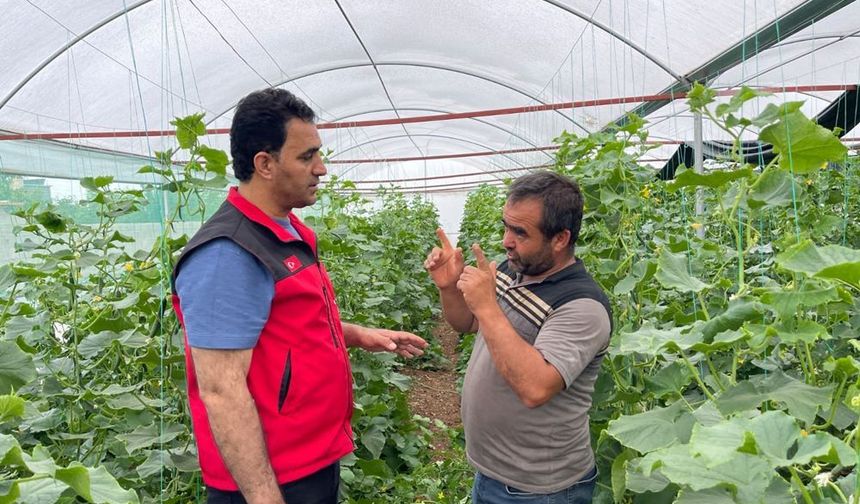Şanlıurfa’da göçebe dönem bitti: Sulu tarım umut kapısı oldu
