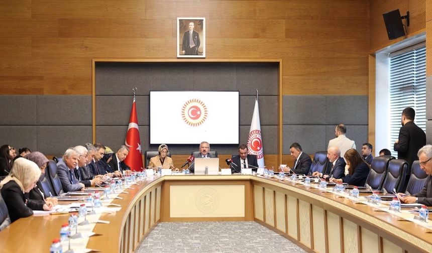RTÜK Başkanı Daniş Okul Saldırılarını Araştırma Komisyonunda görüş bildirdi