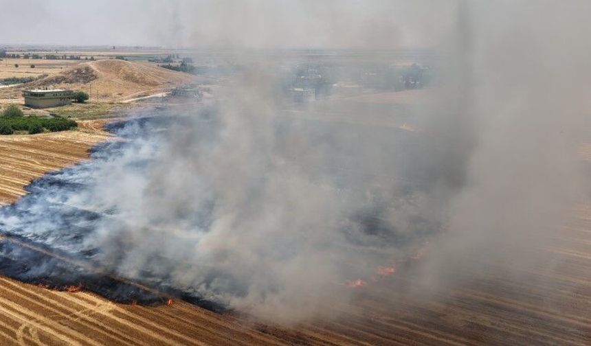 Anız yakmadan üretim mümkün: toprak korunuyor, maliyetler azalıyor