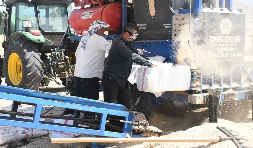Şanlıurfa’dan Yozgat’a güneşin altında ekmek kavgası!
