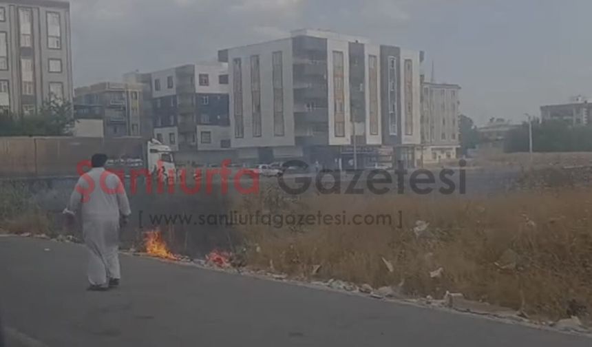 Şanlıurfa'da Anız Yangını Park Halindeki TIR'a Sıçradı! Facia Son Anda Önlendi