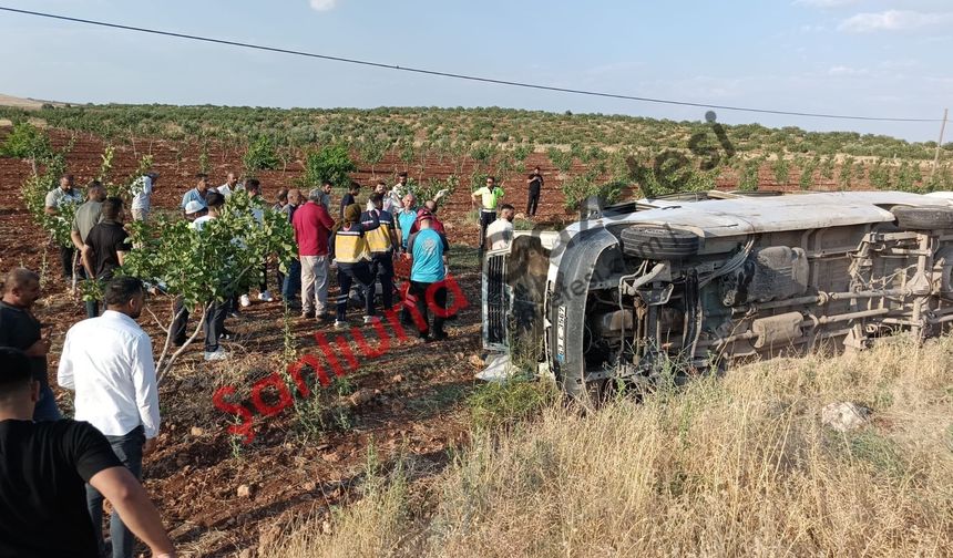 Şanlıurfa'da Tarım İşçilerini Taşıyan Minibüs Devrildi: 27 Yaralıdan 18'i Taburcu Edildi