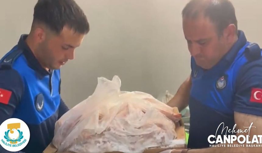 Şanlıurfa'da ruhsatsız iş yeri zabıtadan kaçamadı: Kilolarca bozuk et çöpü boyladı!