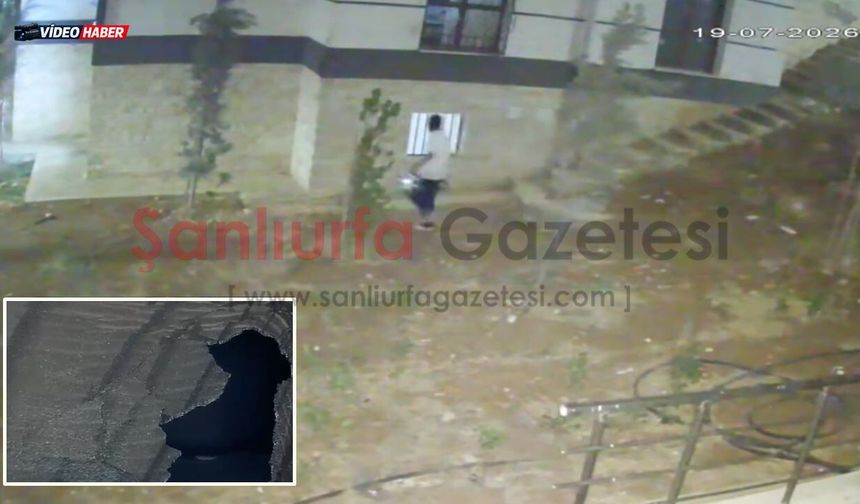 Şanlıurfa'da Oto Hırsızlığı Kamerada: Park Halindeki Aracın Camını Kırıp Değerli Eşyaları Çaldılar