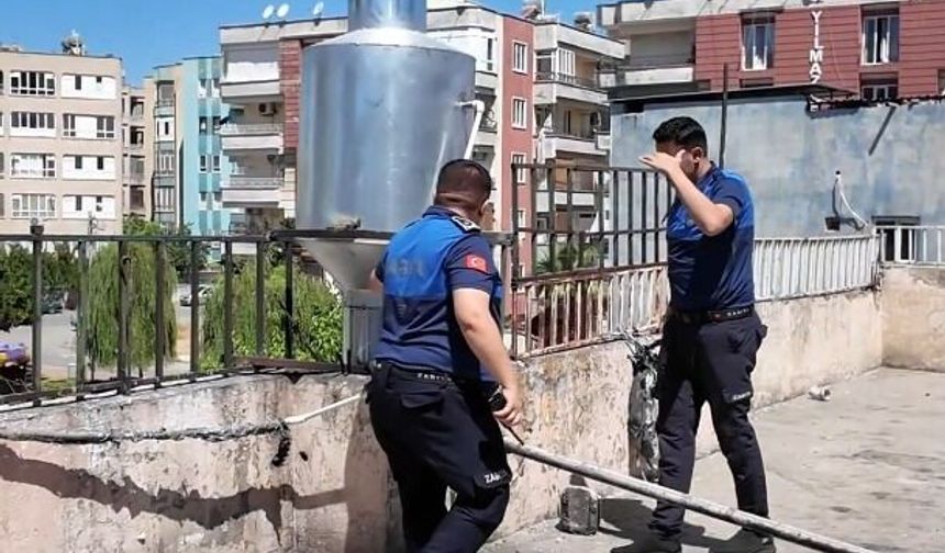 Haliliye Belediyesi'nden Pide Fırınlarına Sıkı Denetim
