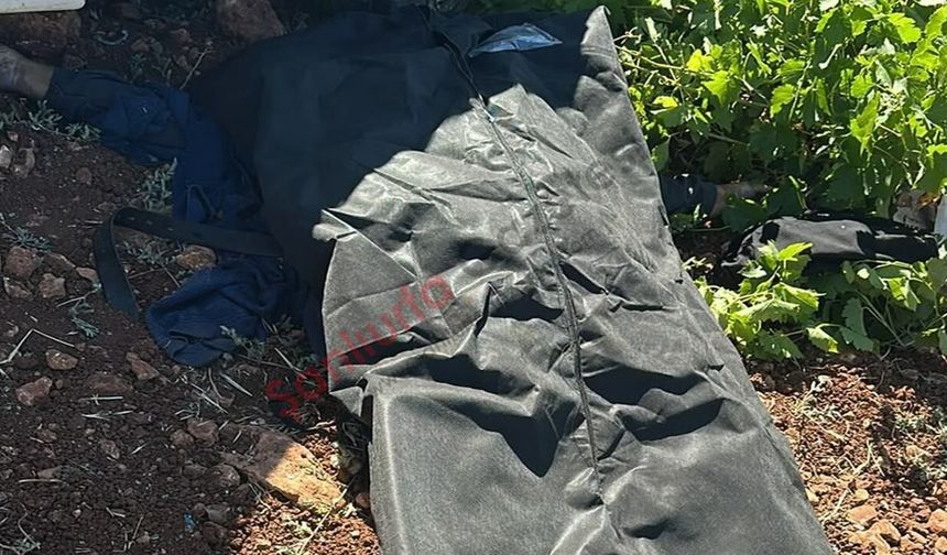Şanlıurfa'da feci kaza: 1 ölü, 1 yaralı!