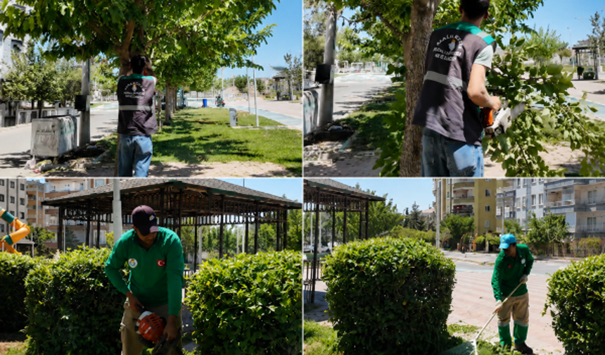 Şanlıurfa Haliliye Belediyesi'nden Parklara Bakım Çalışması!