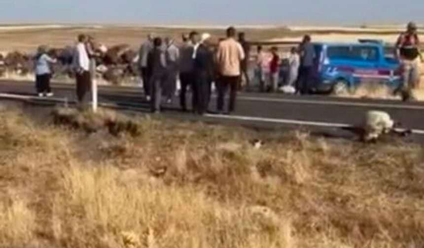Şanlıurfa Siverek'te Feci Kaza: İşçi Minibüsü 25 Koyunu Telef Etti