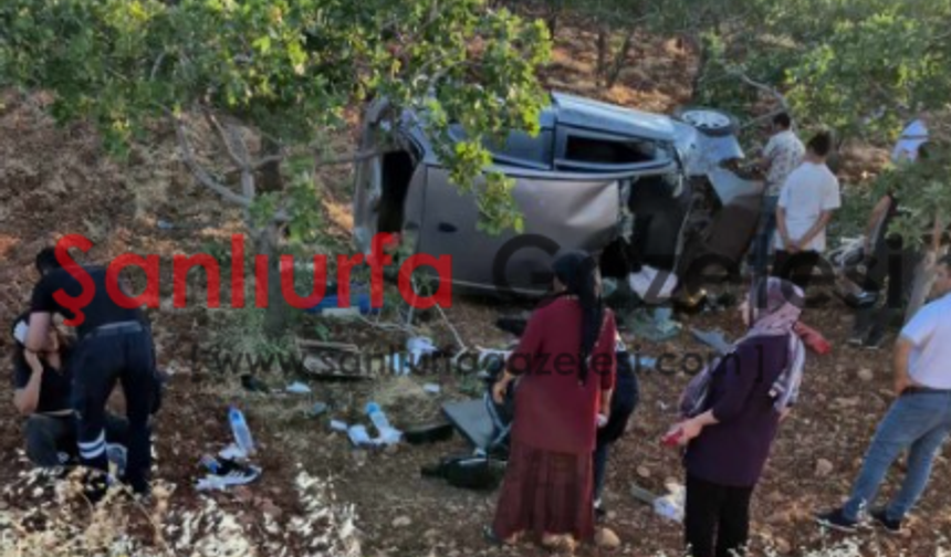 Şanlıurfa'da Otomobil Fıstık Tarlasına Devrildi: 3 Kadın Yaralandı