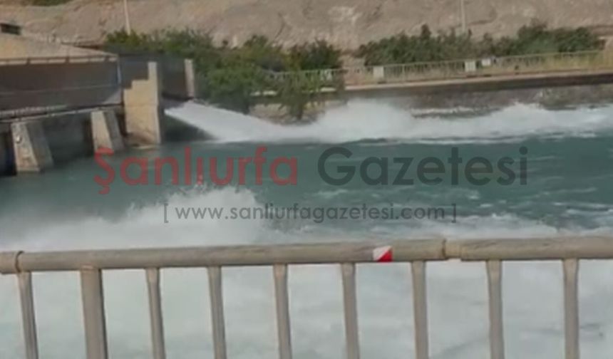 Şanlıurfa'da Sulama Kanalına Atlayan Kişi Kurtarıldı