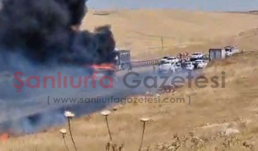 Şanlıurfa'da TIR alev alev yandı