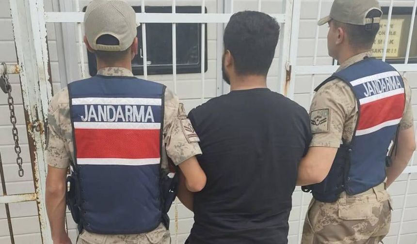 Şanlıurfa Jandarma o firariye göz açtırmadı!