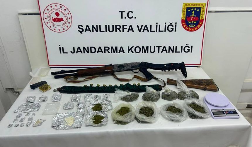 Şanlıurfa jandarmadan ‘Zehir’ mesaisi: Avlandı!