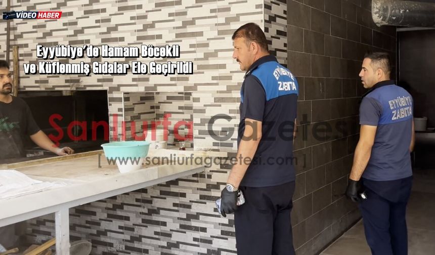 Hindistan Sokak Lezzetleri Değil, Şanlıurfa Sokakları! Eyyübiye'de Skandal Görüntüler!