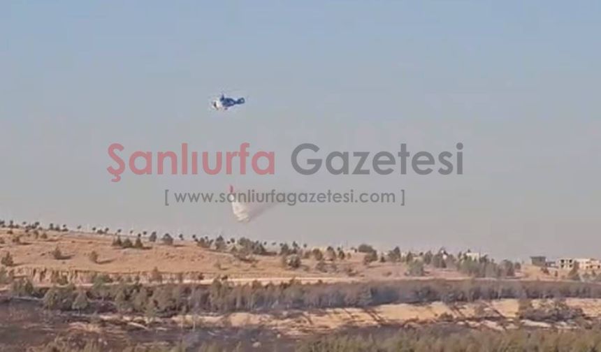 Şanlıurfa GAP Vadisi'ndeki orman yangınına helikopter destekli müdahale
