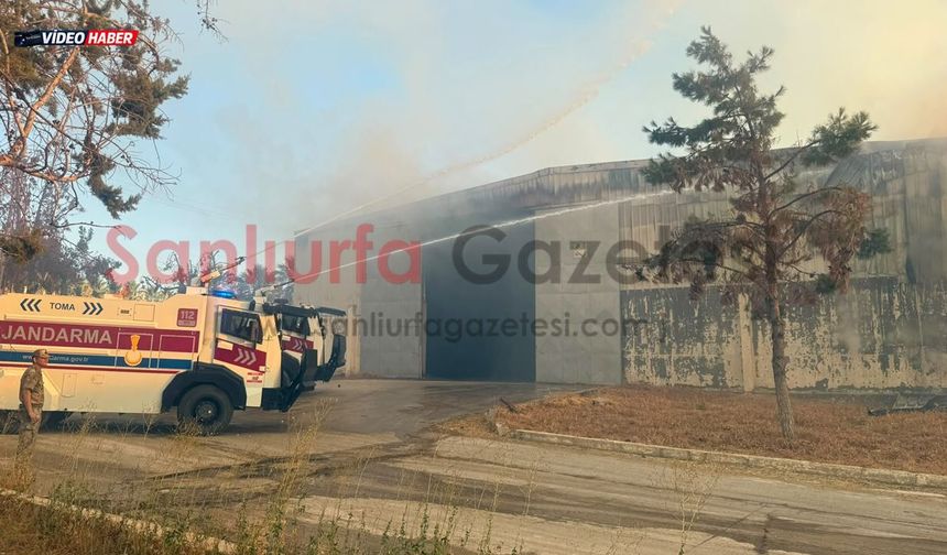 Şanlıurfa’da Namet Besi Tesisindeki Yangına TOMA'lar Müdahale Etti