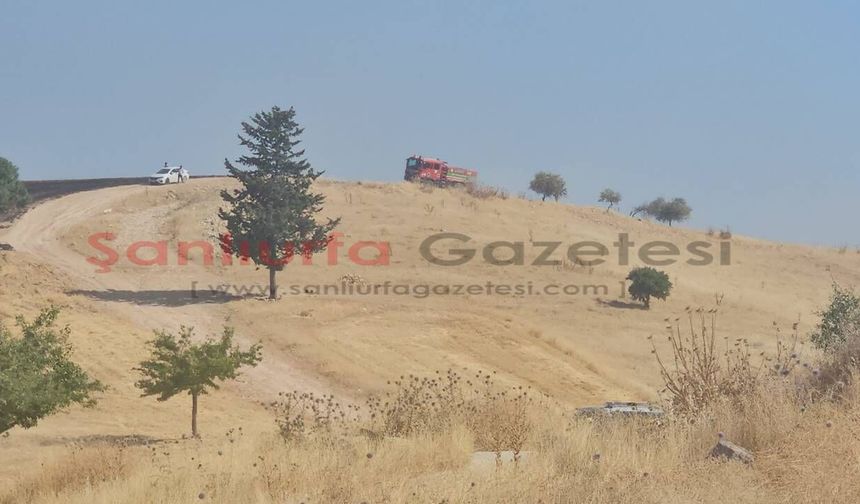 Şanlıurfa’da korkutan yangın: Takviye ekip isteniyor!