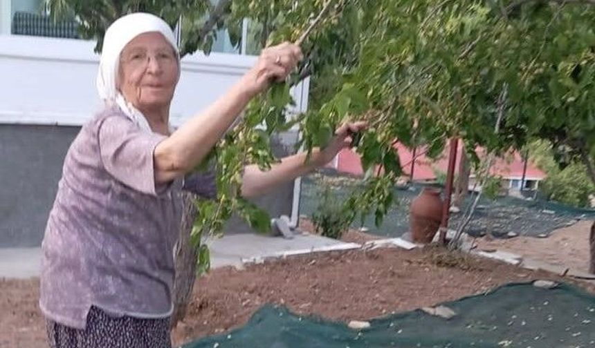 "Dutlar Heba Olmasın" Diyerek Pekmez Üretiyorlar