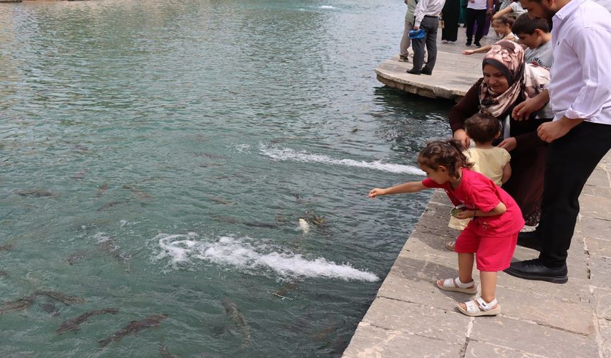Şanlıurfa'da ziyaretçi yoğunluğu yaşanıyor; Serin havayı fırsat bilenler turistler, turistik alanlara akın etti