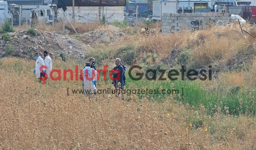 Şanlıurfa’da boş arazide hareketsiz bulundu: Ölümü araştırılıyor