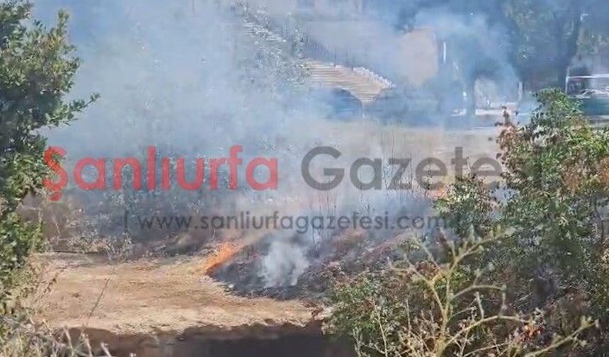 Şanlıurfa'da Parktaki Otluk Alanda Yangın Paniği