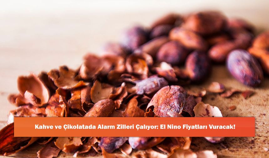 Kahve ve Çikolatada Alarm Zilleri Çalıyor: El Nino Fiyatları Vuracak!
