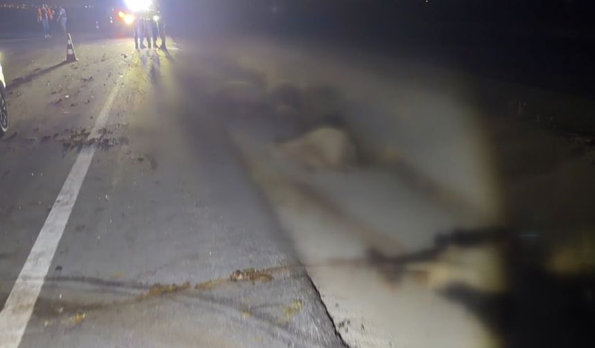 Şanlıurfa'da cana değil mala geldi: Korkunç bilanço belli oldu!