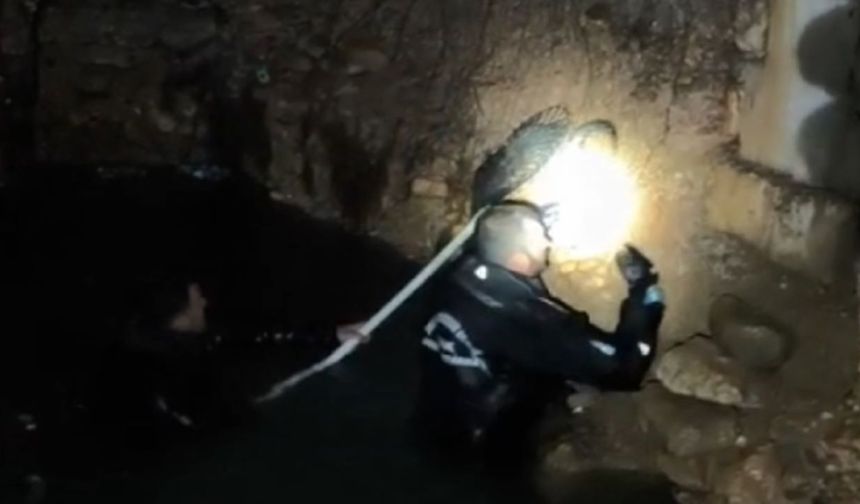 Şanlıurfa'da sarnıca düşen kedi yavrusu çıkarıldı